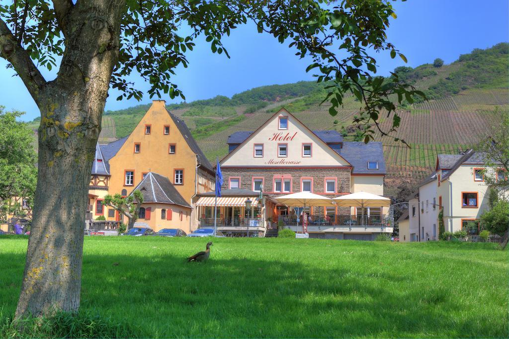Hotel Moselterrasse Эдигер-Эллер Экстерьер фото